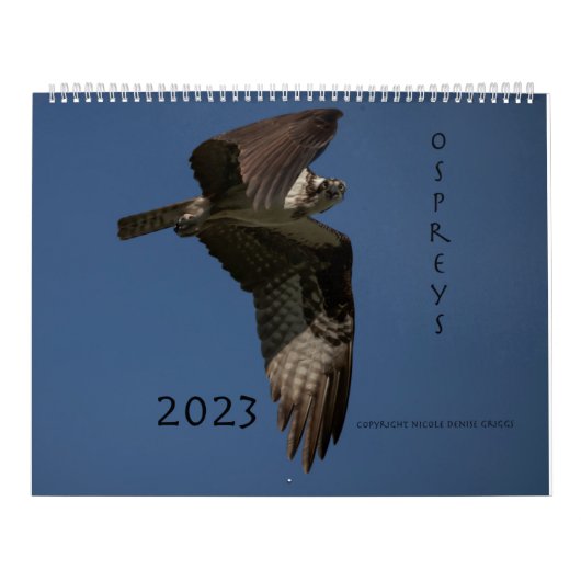 Ospreys in Action 2023 Calendar Kalender (Hoes)