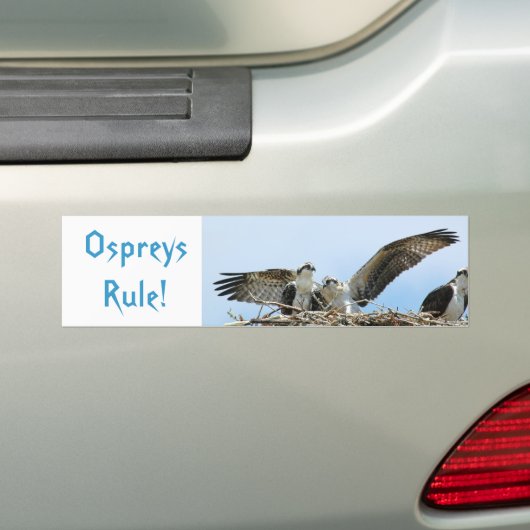 Ospreys Rule Bumpersticker (Op auto)