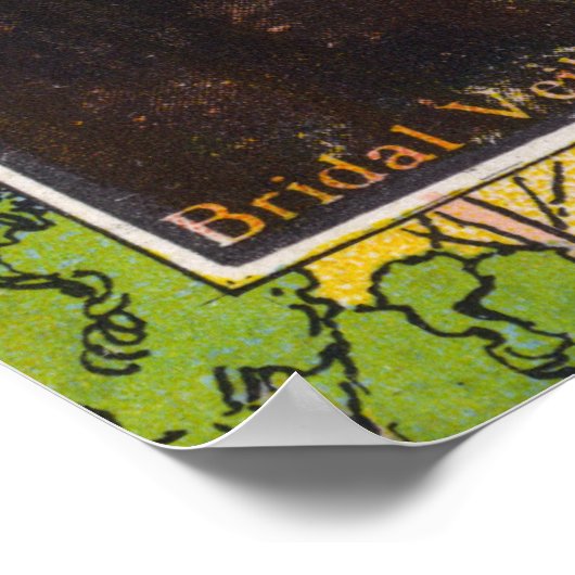 Ossipee Mountain Park Uitzicht van Bridal Veil Poster (Hoek)