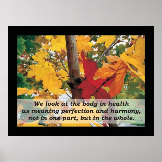 Osteopathic Harmony Quote door A.T. Nog steeds Poster (Voorkant)