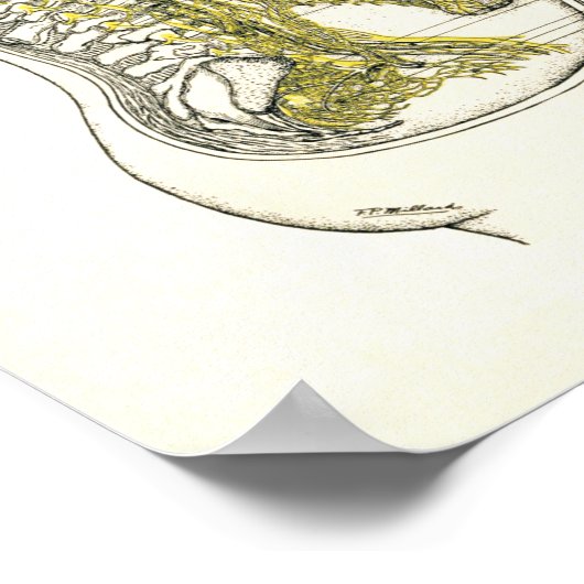 Osteopathisch Sympathische Keten Nerve Poster (Hoek)