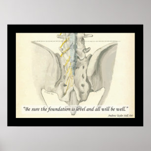 Osteopathische Foundation Quote door A.T. Nog stee Poster