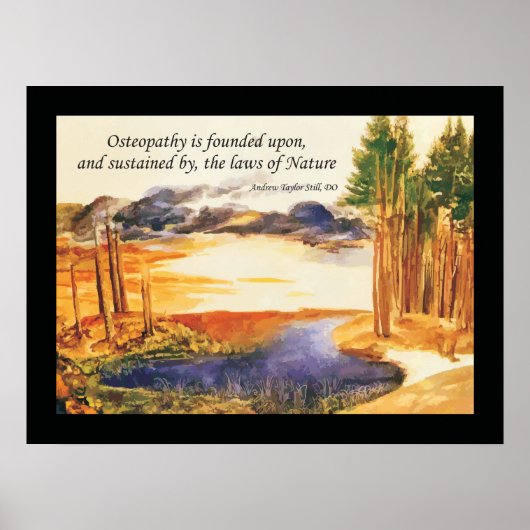 Osteopathische natuurwetten citeren A.T. Nog steed Poster (Voorkant)