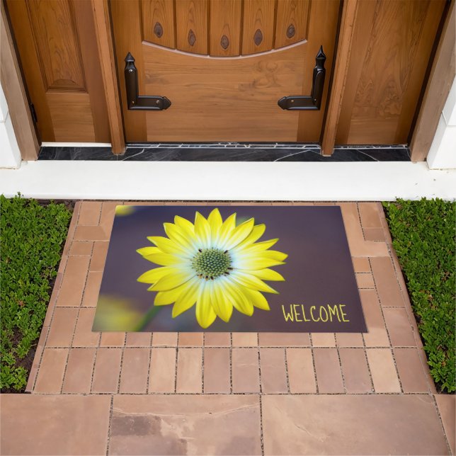 Osteopermum Doormat Deurmat (Buiten)