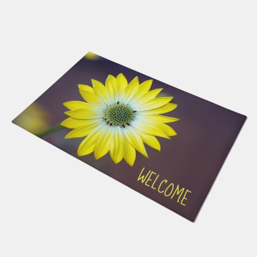 Osteopermum Doormat Deurmat (Schuin)