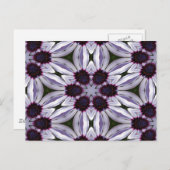 Osteospermum Abstract Briefkaart (Voorkant / Achterkant)