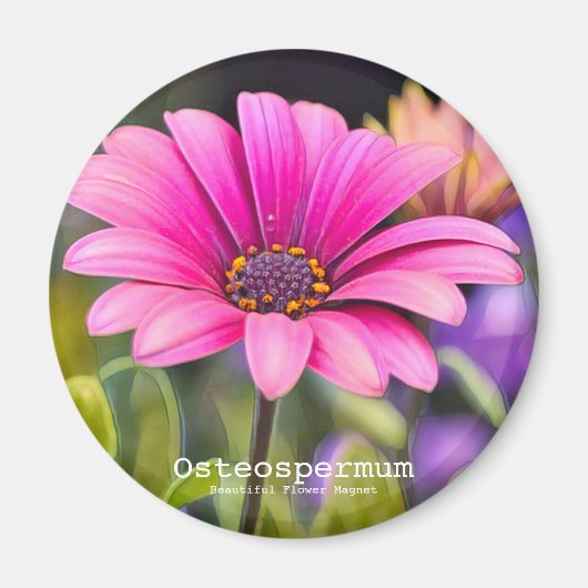 Osteospermum Magneet (Voorkant)