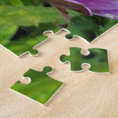 Osteospermum-margriet Legpuzzel (Zijkant)