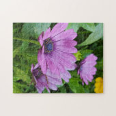 Osteospermum-margriet Legpuzzel (Horizontaal)