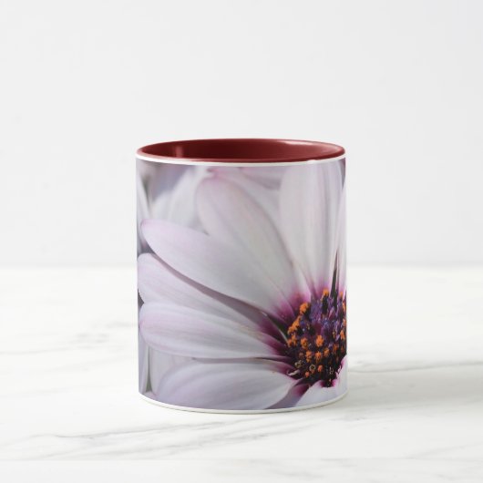 Osteospermum Mok (Midden)