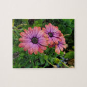 Osteospurmum Legpuzzel (Horizontaal)