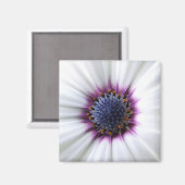 Osteospurmummagneet Magneet (Voorkant / Achterkant)