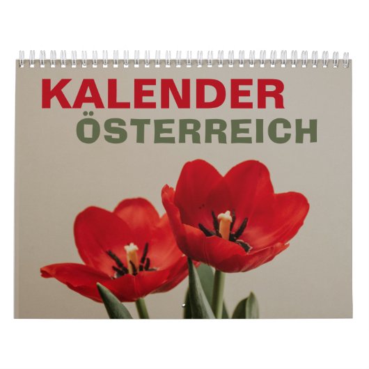 Österreich Kalender mit Feiertagen | Oostenrijk 20 (Hoes)