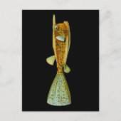 Ostracion cornutus (Boxfish), Haeckel Fine Art Briefkaart (Voorkant)