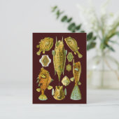Ostraciontes (Boxfish), Ernst Haeckel Fine Art Briefkaart (Staand voorkant)