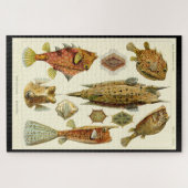 "Ostraciontes" legpuzzel van Ernst Haeckel (Horizontaal)
