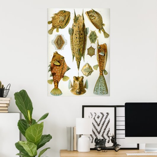 Ostraciontes Poster (Thuiskantoor)