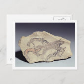 Ostracon met een hond die een hyena achtervolgt (l briefkaart (Voorkant / Achterkant)