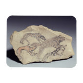 Ostracon met een hond die een hyena achtervolgt (l magneet (Horizontaal)