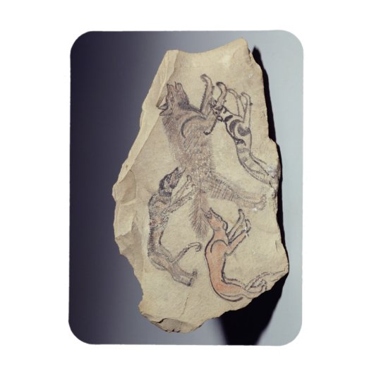 Ostracon met een hond die een hyena achtervolgt (l magneet (Verticaal)