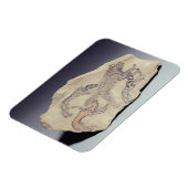 Ostracon met een hond die een hyena achtervolgt (l magneet (Linkerzijde)