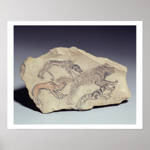 Ostracon met een hond die een hyena achtervolgt (l poster