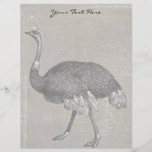  Ostrich (Voorkant)