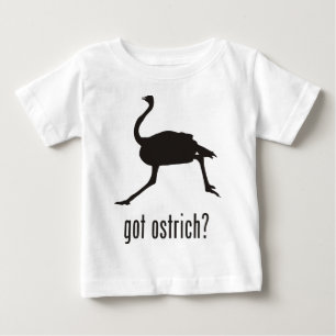 Ostrich
