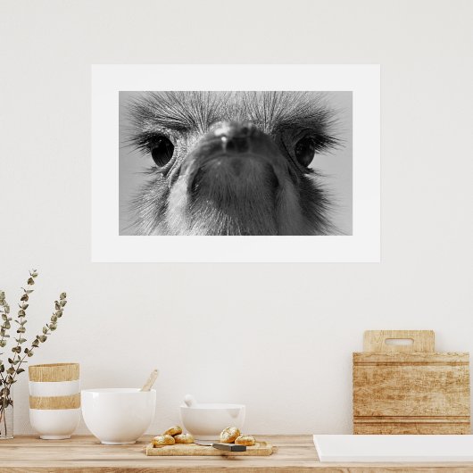 Ostrich#1-Poster Poster (Keuken)