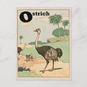 Ostrich Alphabet Letter Briefkaart