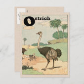 Ostrich Alphabet Letter Briefkaart (Voorkant / Achterkant)