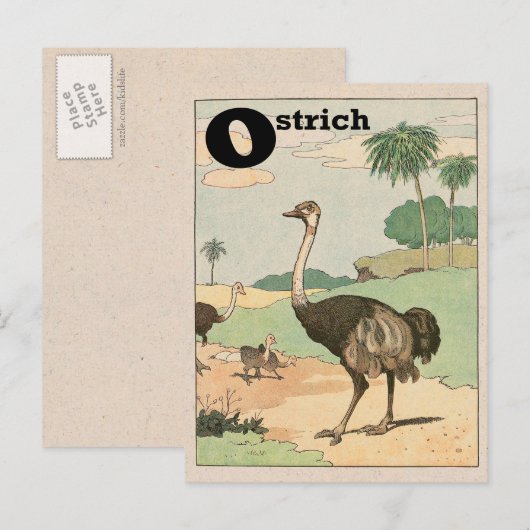 Ostrich Alphabet Letter Briefkaart (Voorkant / Achterkant)