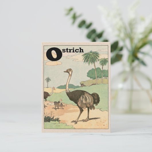 Ostrich Alphabet Letter Briefkaart (Staand voorkant)