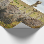 Ostrich Bird Cadeaupapier (Hoek)