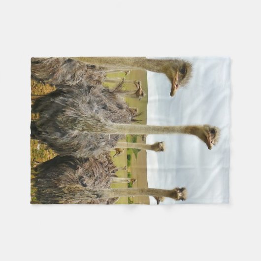 Ostrich Bird Fleece Deken (Voorkant (Horizontaal))