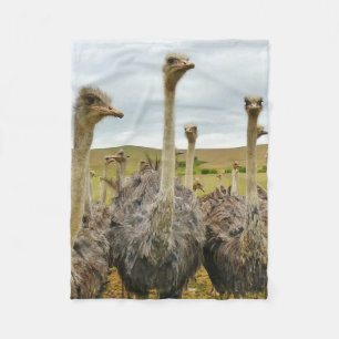 Ostrich Bird Fleece Deken