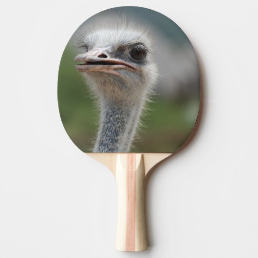 Ostrich Bird Tafeltennisbatje (Voorkant)