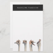 Ostrich Birds Funny Animal | Jouw namen toevoegen Briefpapier (Voorkant / Achterkant)