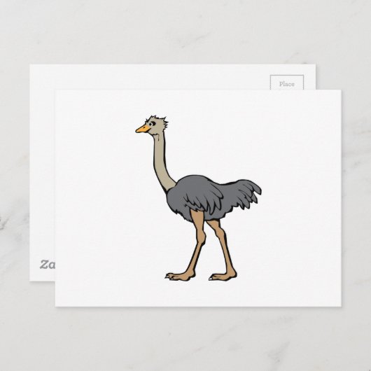 Ostrich Briefkaart (Voorkant / Achterkant)