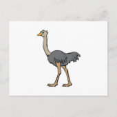 Ostrich Briefkaart (Voorkant)