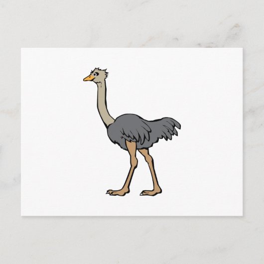 Ostrich Briefkaart (Voorkant)