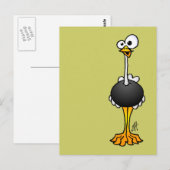 Ostrich Briefkaart (Voorkant / Achterkant)