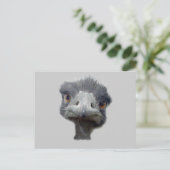 Ostrich Briefkaart (Staand voorkant)