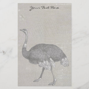 Ostrich Briefpapier