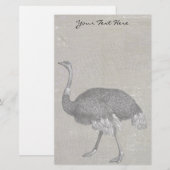 Ostrich Briefpapier (Voorkant / Achterkant)