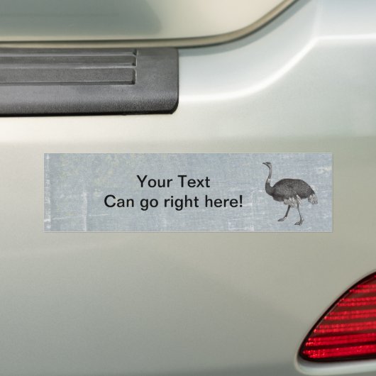  Ostrich Bumpersticker (Op auto)