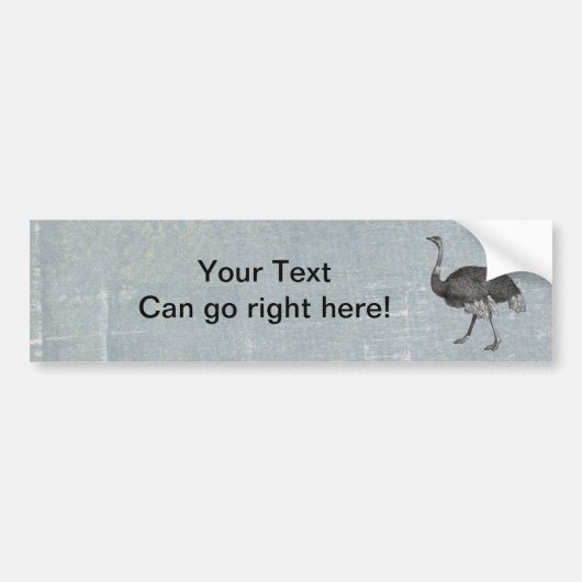  Ostrich Bumpersticker (Voorkant)
