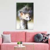 Ostrich Canvas Afdruk (Insitu (Woonkamer))