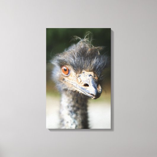 Ostrich Canvas Afdruk (Voorkant)