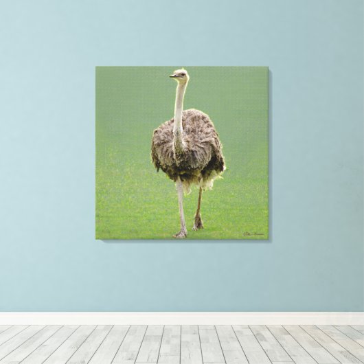 Ostrich Canvas Afdruk (Insitu (Houten vloer))